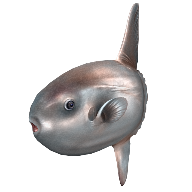 『釣りスピリッツ Nintendo Switchバージョン』7月25日発売決定！ゲーム内容がすぐわかる第1弾PVも公開