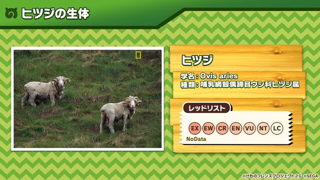 『けものフレンズ3』新フレンズ「タイリクオオカミ」が登場！10月21日公式生放送まとめ