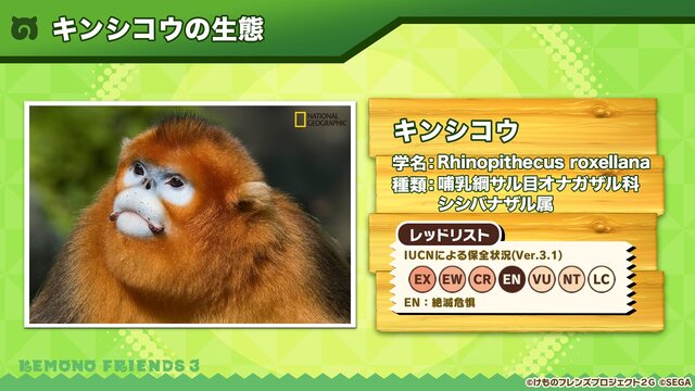 『けものフレンズ３』わくわくどきどき探検レポート #02まとめ！新フレンズ“アルパカ・ワカイヤ”などワクワクする最新情報が盛り沢山